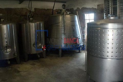 Farm i Moncao, Viana do Castelo, Moncao - € 580.000 | Ref: Q-30166 - foto 14