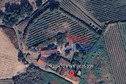 Farm i Moncao, Viana do Castelo, Moncao - € 580.000 | Ref: Q-30166 - foto 18