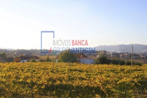 Farm i Moncao, Viana do Castelo, Moncao - € 580.000 | Ref: Q-30166 - foto 19