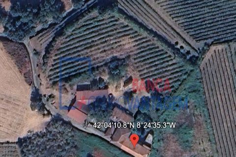Farm i Moncao, Viana do Castelo, Moncao - € 580.000 | Ref: Q-30166 - foto 21