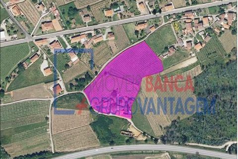 Farm i Moncao, Viana do Castelo, Moncao - € 580.000 | Ref: Q-30166 - foto 22
