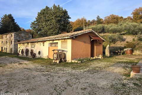 Villa i Assisi, Perugia, Assisi - € 450.000 | Ref: PG1906 - foto 3
