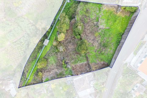 Helårsgrund i Calheta, Madeira, Calheta - € 324.000 | Ref: KWPT-026178 - foto 3