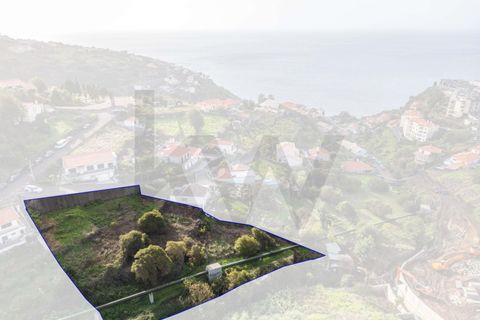 Helårsgrund i Calheta, Madeira, Calheta - € 324.000 | Ref: KWPT-026178 - foto 7