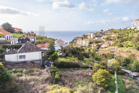 Helårsgrund i Calheta, Madeira, Calheta - € 324.000 | Ref: KWPT-026178 - foto 18