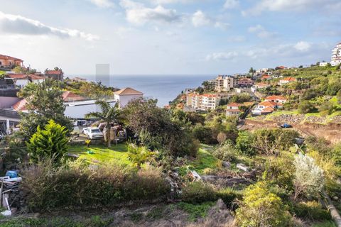 Helårsgrund i Calheta, Madeira, Calheta - € 324.000 | Ref: KWPT-026178 - foto 19