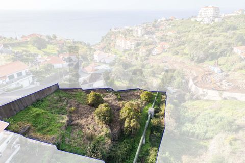 Helårsgrund i Calheta, Madeira, Calheta - € 324.000 | Ref: KWPT-026178 - foto 21