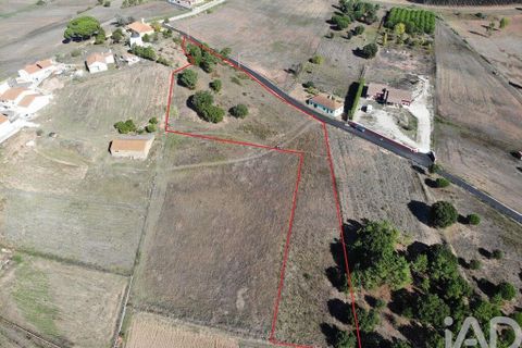 Helårsgrund i Torres Vedras, Lisbon, Torres Vedras - € 124.000 | Ref: 102773 - foto 3