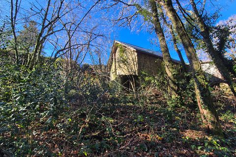 Villa a Madranges, Correze, Madranges - € 20.000 | Ref: CC-4970 - foto 12
