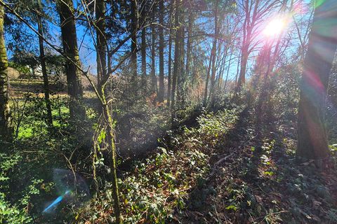 Villa a Madranges, Correze, Madranges - € 20.000 | Ref: CC-4970 - foto 14