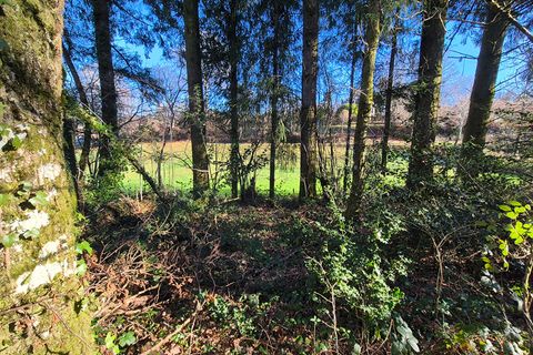 Villa a Madranges, Correze, Madranges - € 20.000 | Ref: CC-4970 - foto 15