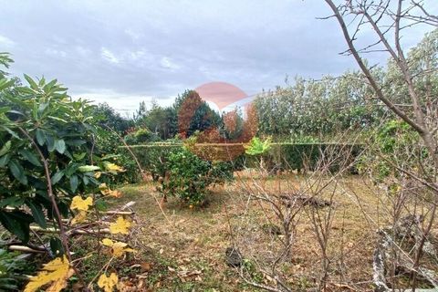 Byhus i Velas, Sao Jorge, Velas - € 355.000 | Ref: M1046 - foto 6