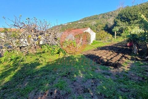 Byhus i Velas, Sao Jorge, Velas - € 355.000 | Ref: M1046 - foto 33
