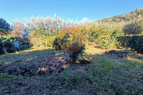 Byhus i Velas, Sao Jorge, Velas - € 355.000 | Ref: M1046 - foto 34