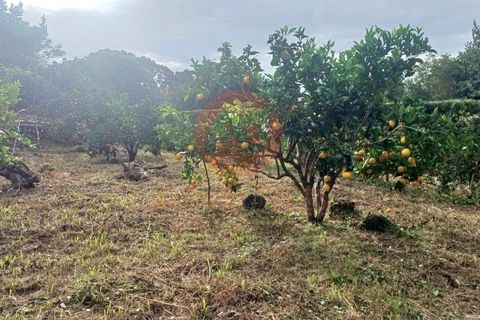 Byhus i Velas, Sao Jorge, Velas - € 355.000 | Ref: M1046 - foto 36