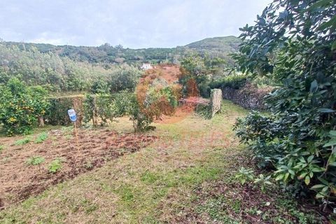 Byhus i Velas, Sao Jorge, Velas - € 355.000 | Ref: M1046 - foto 38