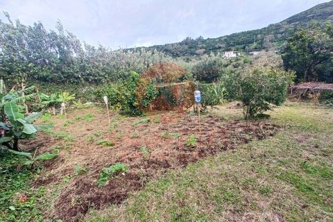 Byhus i Velas, Sao Jorge, Velas - € 355.000 | Ref: M1046 - foto 40