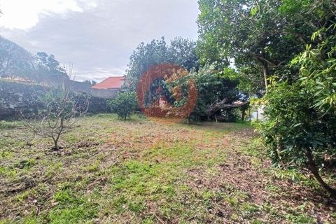 Byhus i Velas, Sao Jorge, Velas - € 355.000 | Ref: M1046 - foto 41
