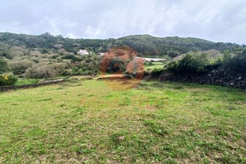 Byhus i Velas, Sao Jorge, Velas - € 355.000 | Ref: M1046 - foto 42