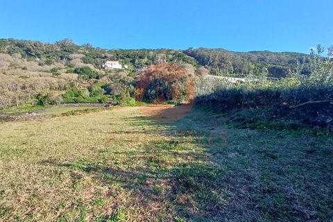 Byhus i Velas, Sao Jorge, Velas - € 355.000 | Ref: M1046 - foto 43