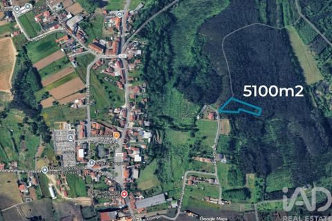 Terra a Anadia, Aveiro, Anadia - € 59.500 | Ref: 781004 - foto 2