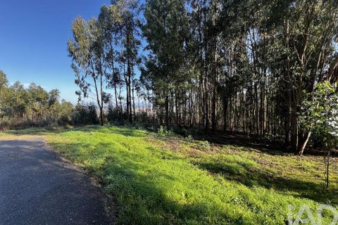 Terra a Anadia, Aveiro, Anadia - € 59.500 | Ref: 781004 - foto 6