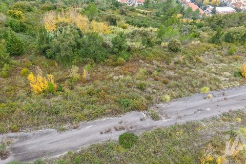 Terra a Alenquer, Lisbon, Alenquer - € 48.000 | Ref: 771236 - foto 2