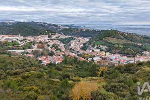 Terra a Alenquer, Lisbon, Alenquer - € 48.000 | Ref: 771236 - foto 8