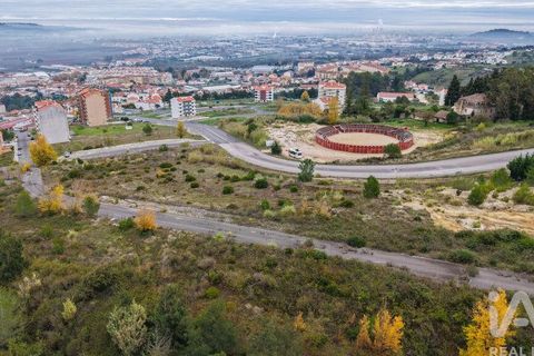 Terra a Alenquer, Lisbon, Alenquer - € 48.000 | Ref: 771236 - foto 12