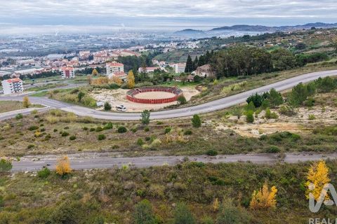 Terra a Alenquer, Lisbon, Alenquer - € 48.000 | Ref: 771236 - foto 13