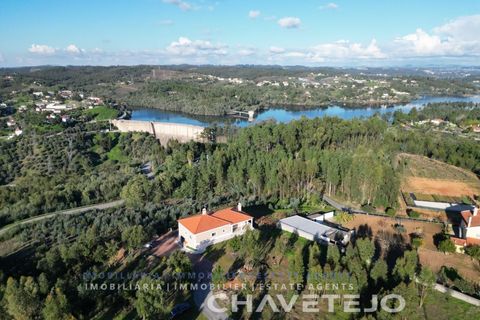 Villa i Abrantes, Santarem, Abrantes - € 500.000 | Ref: 502/26 - foto 49