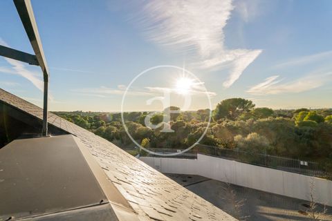 Villa a Boadilla Del Monte, Madrid, Boadilla Del Monte - € 2.675.000 | Ref: VMO2601002 - foto 49