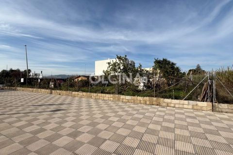Terra a Bellreguard, Valencia, Bellreguard - € 162.000 | Ref: 601/6818 - foto 3