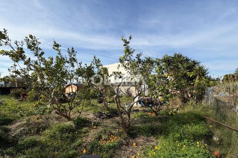 Terra a Bellreguard, Valencia, Bellreguard - € 162.000 | Ref: 601/6818 - foto 4