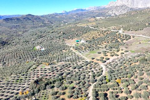Helårsgrund i Mondron, Malaga, Mondron - € 59.900 | Ref: XL4649 - foto 15