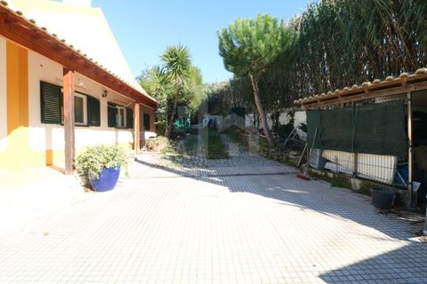 Farm i Mafra, Lisbon, Mafra - € 1.100.000 | Ref: V25139 - foto 35