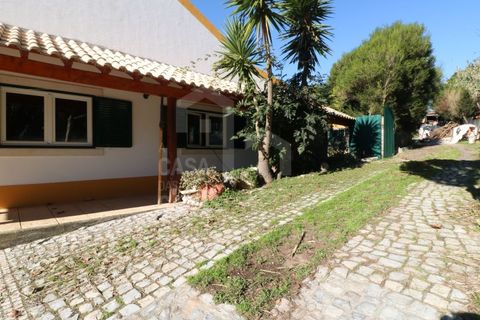 Farm i Mafra, Lisbon, Mafra - € 1.100.000 | Ref: V25139 - foto 44
