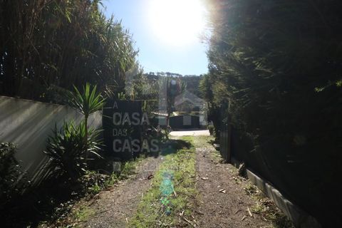 Farm i Mafra, Lisbon, Mafra - € 1.100.000 | Ref: V25139 - foto 50