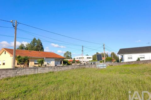 Terra a Ovar, Aveiro, Ovar - € 62.000 | Ref: 757576 - foto 6