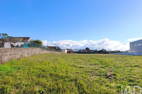 Terra a Ovar, Aveiro, Ovar - € 62.000 | Ref: 757576 - foto 7