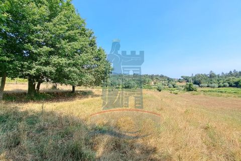 Helårsgrund i Ponte de Lima, Viana do Castelo, Ponte de Lima - € 12.000 | Ref: 6223 - foto 3