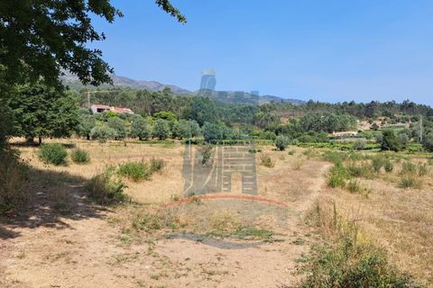 Helårsgrund i Ponte de Lima, Viana do Castelo, Ponte de Lima - € 12.000 | Ref: 6223 - foto 4