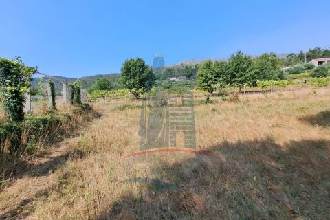 Helårsgrund i Ponte de Lima, Viana do Castelo, Ponte de Lima - € 12.000 | Ref: 6223 - foto 6