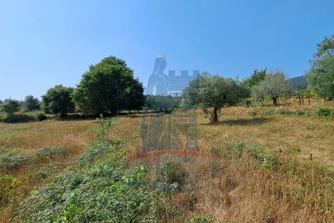 Helårsgrund i Ponte de Lima, Viana do Castelo, Ponte de Lima - € 12.000 | Ref: 6223 - foto 7