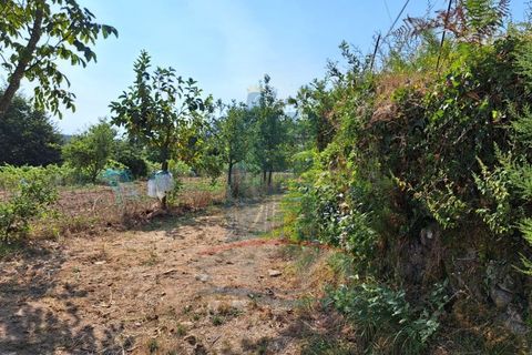 Helårsgrund i Ponte de Lima, Viana do Castelo, Ponte de Lima - € 12.000 | Ref: 6223 - foto 8