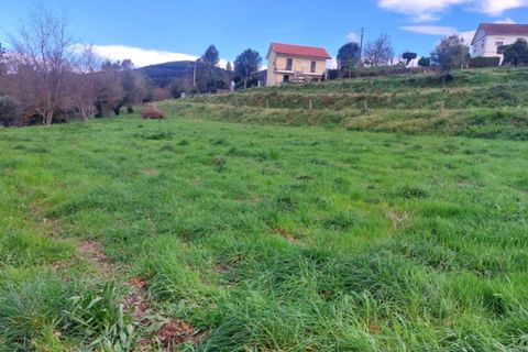 Helårsgrund i Ponte de Lima, Viana do Castelo, Ponte de Lima - € 92.000 | Ref: 6111 - foto 2