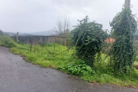 Helårsgrund i Ponte de Lima, Viana do Castelo, Ponte de Lima - € 92.000 | Ref: 6111 - foto 4