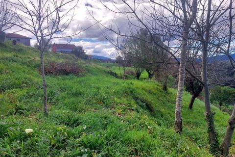 Helårsgrund i Ponte de Lima, Viana do Castelo, Ponte de Lima - € 92.000 | Ref: 6111 - foto 7