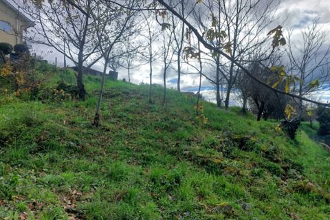 Helårsgrund i Ponte de Lima, Viana do Castelo, Ponte de Lima - € 92.000 | Ref: 6111 - foto 8