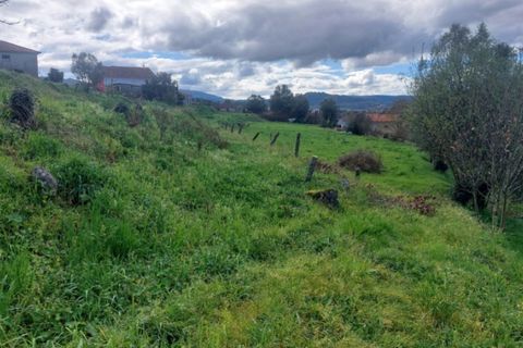 Helårsgrund i Ponte de Lima, Viana do Castelo, Ponte de Lima - € 92.000 | Ref: 6111 - foto 9